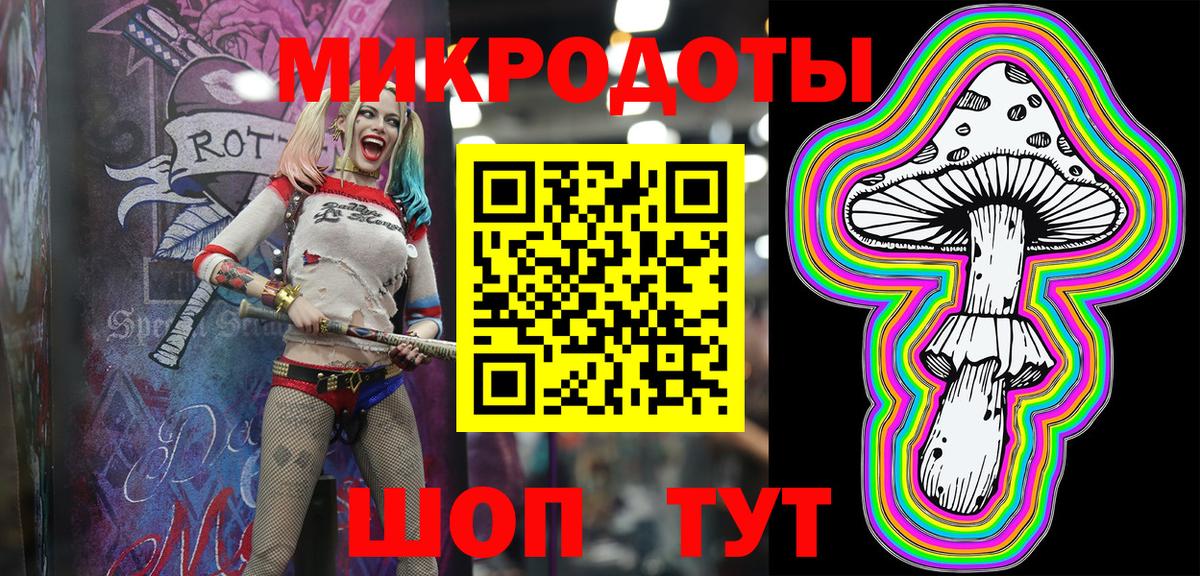 Зима  Псилоцибиновые грибы прущие грибы  Вход с VPN 