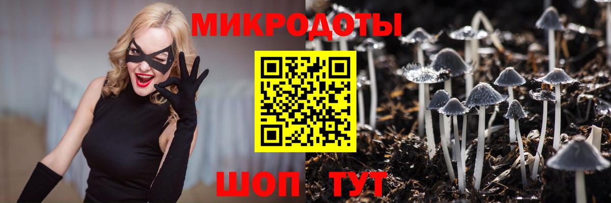 Галлюциногенные грибы прущие грибы Зима